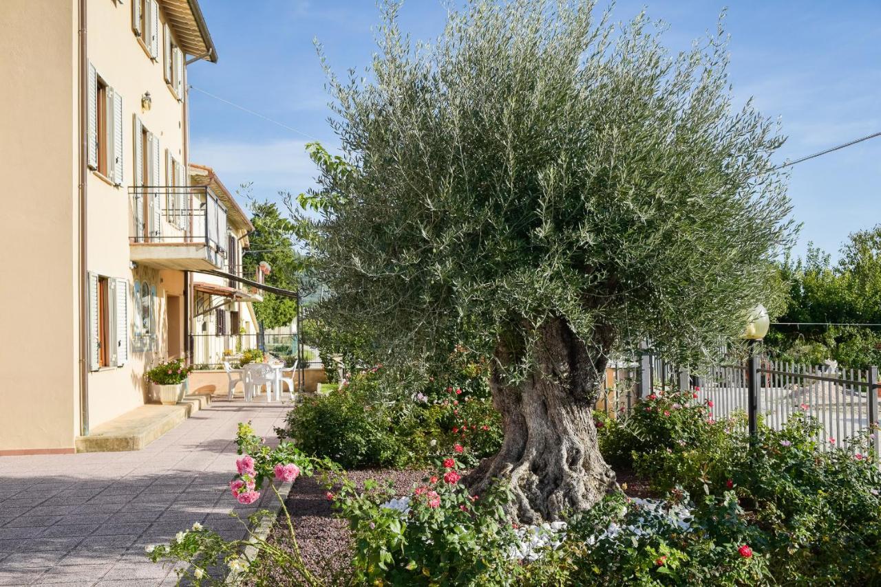 Villa Scarponi Assisi Eksteriør bilde